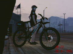 Police Bicycle