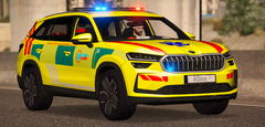 ZZS - Škoda Kodiaq II gen.