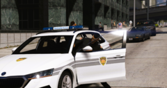 cp91.PNG