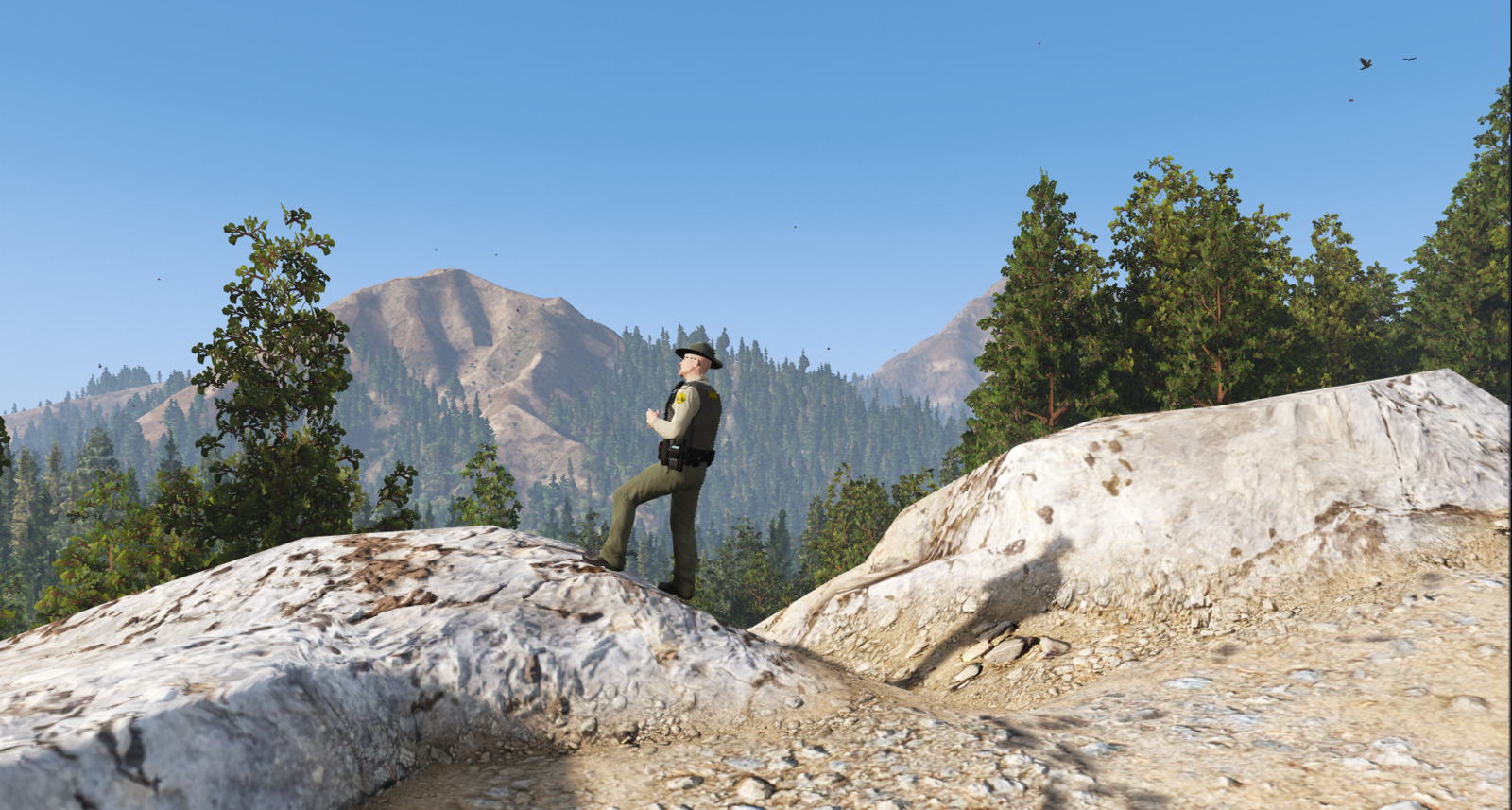 Sheriff