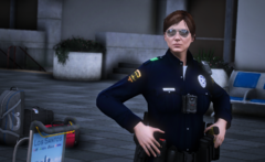 Dallas PD Airport Police