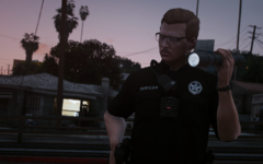Dallas PD BDUs 2