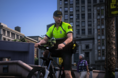 Dallas PD Bicycle