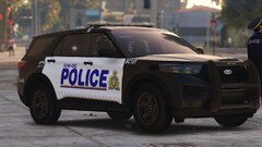 New RCMP Skin
