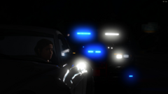FHP 77.png